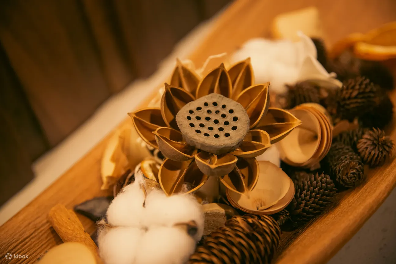  森spa | 泰式按摩 | 森林故事·国贸店